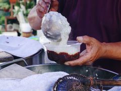 -潘玉麟糖粥