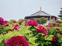 -隋唐洛阳城明堂天堂景区