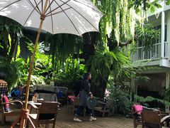 -Fern Forest Cafe