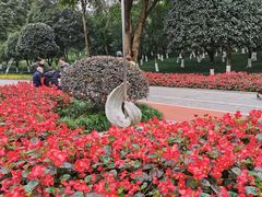 -龙头寺公园