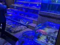 -青蓬蒸汽海鲜·深圳老字号·团建聚会(壹方城店)