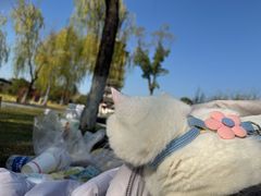 -洋湖国家湿地公园