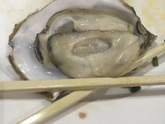 -瑞安辰茂阳光酒店自助餐