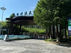 -黄海国家森林公园