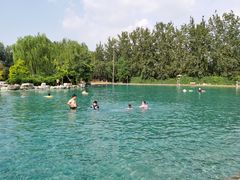 -柳浪游泳场