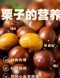 -雅曼妮spa美容养生