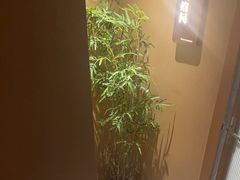 -宁采臣Sleep·采耳·SPA放松馆(湖里万达店)