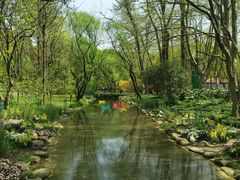 -上海共青森林公园