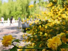 -庆丰包子铺(大慧寺22号平房店)