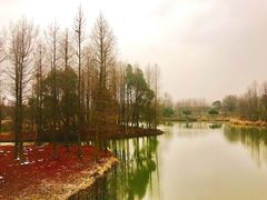 景点-梁鸿国家湿地公园