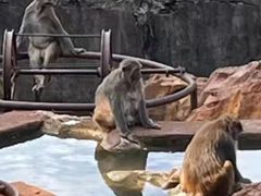 -昆明动物园
