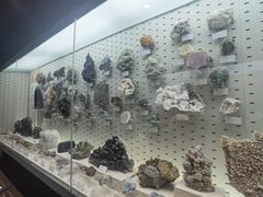 -浙江自然博物院(杭州馆)