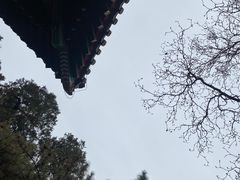 -红螺寺