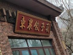 -东北农业大学饺子园