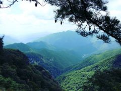 -牛背梁国家森林公园
