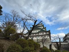 -名古屋城