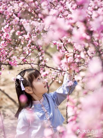 春姐姐已经悄悄地来到了我的身旁