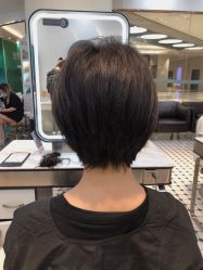 -艺之剪