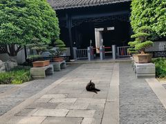 -绮园景区