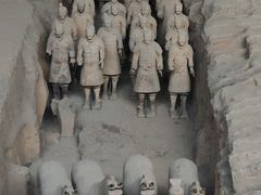 -秦始皇帝陵博物院(兵马俑)