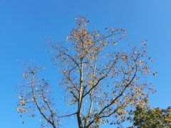 -天目湖涵田度假村