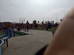 -小鱼草莓采摘园农家乐·小鱼餐厅