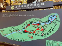-茅兰沟国家森林公园