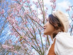 -田野绿世界