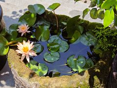 -陈胖子特色菜.鲜货现炒(融景城店)