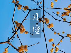 -月坛公园