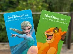 -奥兰多迪士尼动物王国乐园