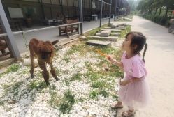 -优沃得自然教育农场·冰雪乐园·生日会·研学