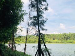 -南国桃园旅游度假区