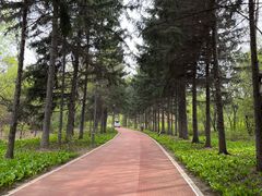 -长春市南湖公园