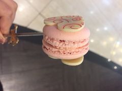 哈根达斯(滨江店)-哈根达斯(滨江店)