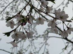 -梁鸿国家湿地公园