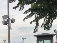 -西贡河游船