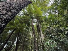 -悉尼蓝山三姐妹峰