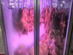 -朝伟清真铜瓢牛肉馆(三十年老·店)