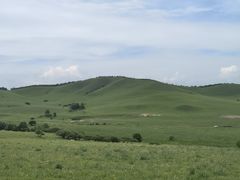 -塞罕坝国家级自然保护区