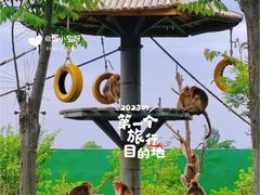-西安秦岭野生动物园