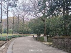 -灵谷景区