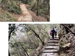 -杭州半山国家森林公园