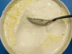 -德禄酸奶(莫家街店)