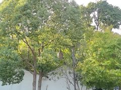 -普陀山风景名胜区-法雨禅寺