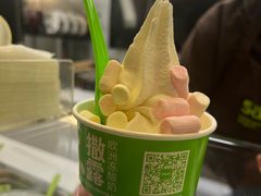 -Salud撒露欧洲冻酸奶(蓝色港湾店)