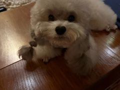 -木兰逸•泰式按摩•头疗•SPA(车公庙店)