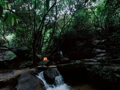 -阳台山森林公园