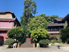 -峨眉山报国寺