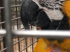 -南宫五洲植物乐园